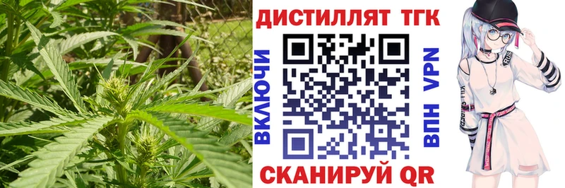 ТГК THC oil  наркотики  Новоузенск 