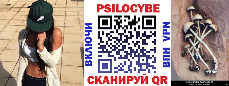 Галлюциногенные грибы Psilocybine cubensis Новоузенск