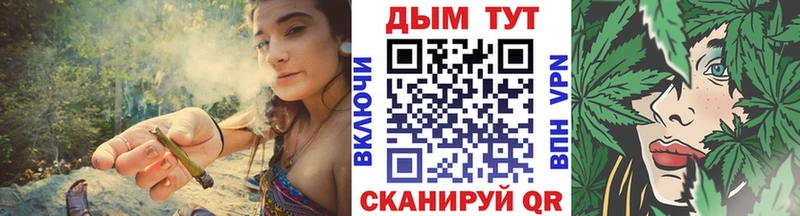 Бошки марихуана марихуана  Новоузенск 